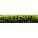 Pine Valley Artificial Grass Green - 4m wide